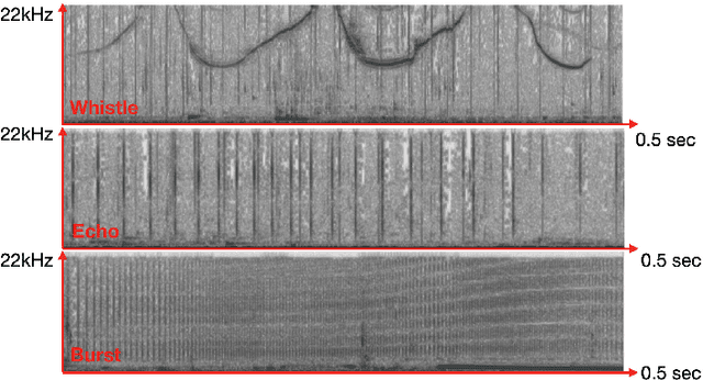 Figure 1 for An Auto Encoder For Audio Dolphin Communication