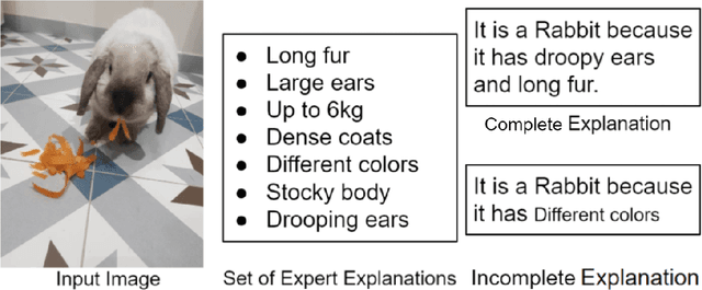 Figure 4 for Greybox XAI: a Neural-Symbolic learning framework to produce interpretable predictions for image classification