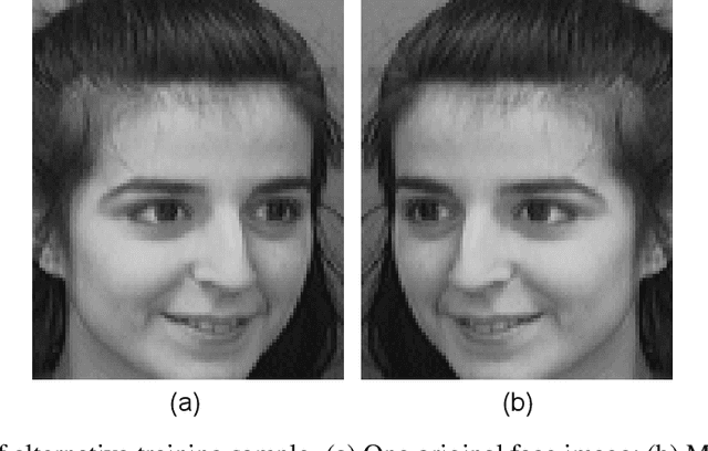 Figure 3 for Learning efficient structured dictionary for image classification