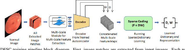 Figure 3 for Anomaly Detection in Retinal Images using Multi-Scale Deep Feature Sparse Coding