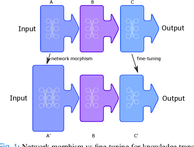 Figure 1 for Beyond Fine-tuning: Classifying High Resolution Mammograms using Function-Preserving Transformations