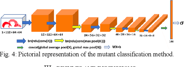 Figure 4 for Automatic Mouse Embryo Brain Ventricle & Body Segmentation and Mutant Classification From Ultrasound Data Using Deep Learning