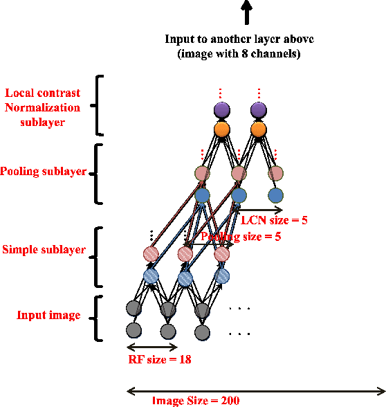 Figure 3 for Building high-level features using large scale unsupervised learning