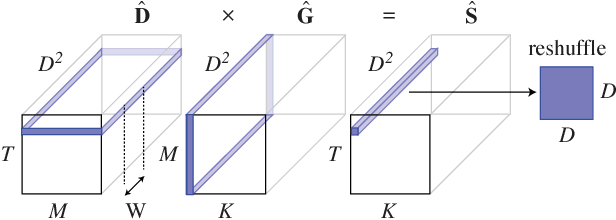 Figure 3 for Deep Tensor Convolution on Multicores
