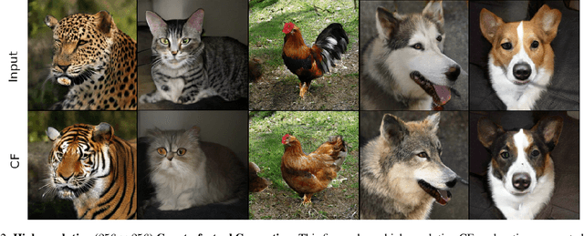 Figure 3 for Cycle-Consistent Counterfactuals by Latent Transformations