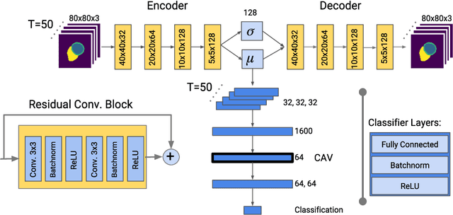 Figure 1 for Global and Local Interpretability for Cardiac MRI Classification