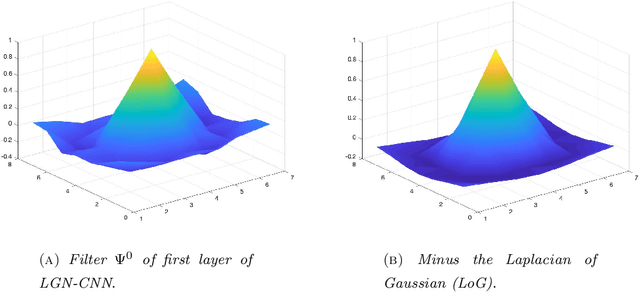 Figure 4 for LGN-CNN: a biologically inspired CNN architecture