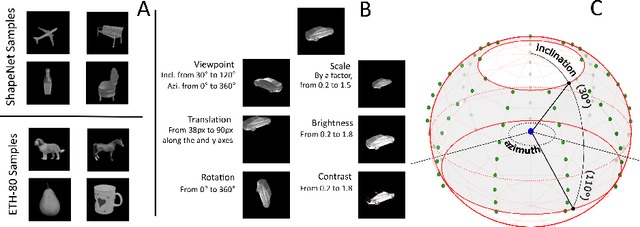 Figure 3 for Learning Online Visual Invariances for Novel Objects via Supervised and Self-Supervised Training