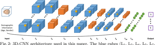 Figure 2 for End-To-End Alzheimer's Disease Diagnosis and Biomarker Identification