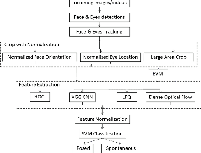 Figure 1 for Distinguishing Posed and Spontaneous Smiles by Facial Dynamics
