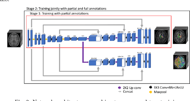 Figure 3 for Transfer Learning from Partial Annotations for Whole Brain Segmentation