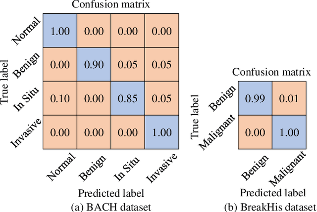 Figure 3 for MS-GWNN:multi-scale graph wavelet neural network for breast cancer diagnosis