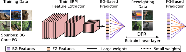 Figure 1 for Last Layer Re-Training is Sufficient for Robustness to Spurious Correlations