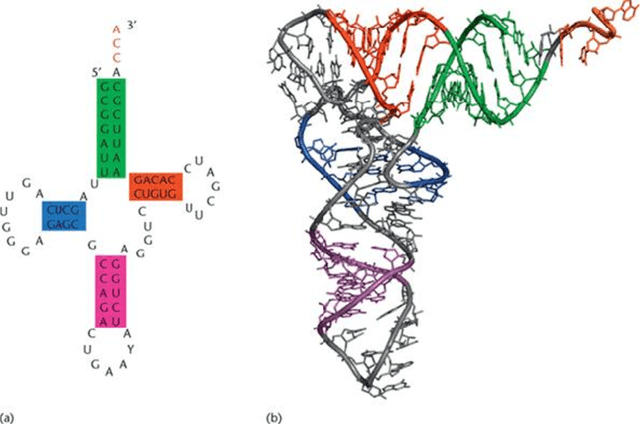 Figure 1 for The RNA Newton Polytope and Learnability of Energy Parameters