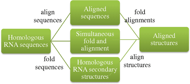 Figure 3 for The RNA Newton Polytope and Learnability of Energy Parameters