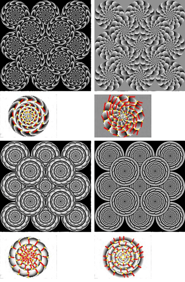 Figure 2 for Evolutionary Generation of Visual Motion Illusions