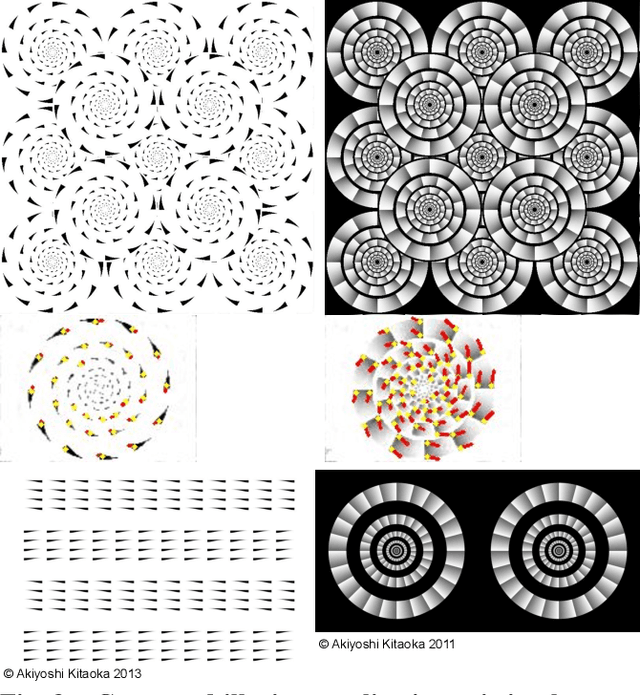 Figure 3 for Evolutionary Generation of Visual Motion Illusions