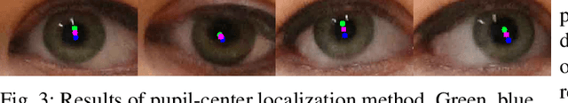 Figure 3 for RAZE: Region Guided Self-Supervised Gaze Representation Learning