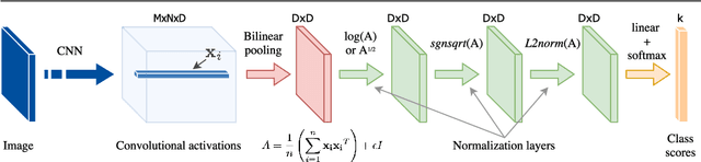 Figure 1 for Improved Bilinear Pooling with CNNs
