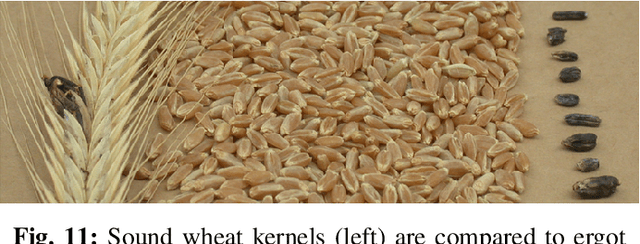 Figure 3 for A Guide to Employ Hyperspectral Imaging for Assessing Wheat Quality at Different Stages of Supply Chain in Australia: A Review