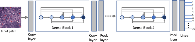 Figure 1 for Fine-Tuning and Training of DenseNet for Histopathology Image Representation Using TCGA Diagnostic Slides