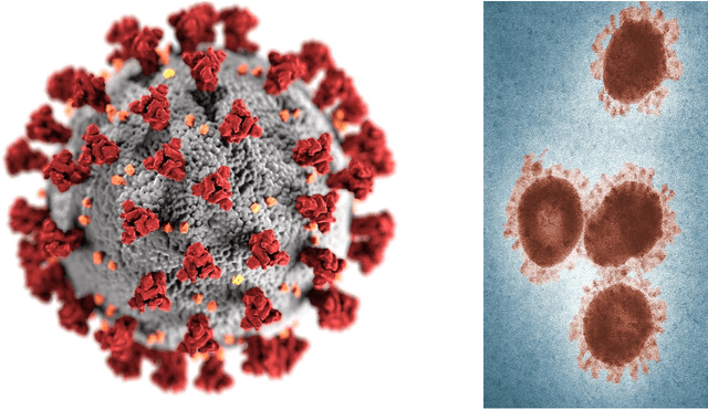 Figure 1 for This is what a pandemic looks like: Visual framing of COVID-19 on search engines