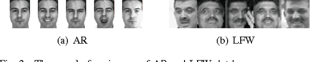 Figure 2 for Collaborative Representation Classification Ensemble for Face Recognition