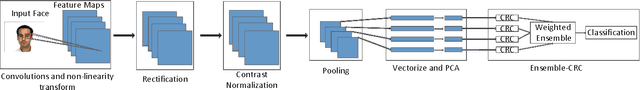 Figure 1 for Collaborative Representation Classification Ensemble for Face Recognition