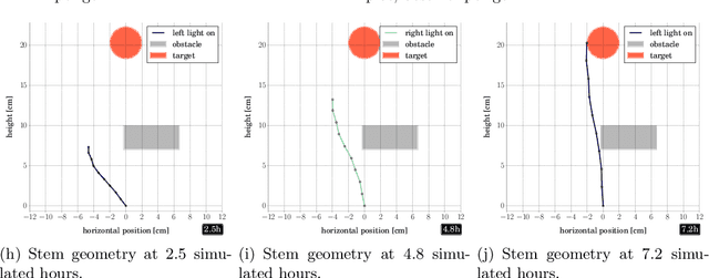 Figure 2 for A Robot to Shape your Natural Plant: The Machine Learning Approach to Model and Control Bio-Hybrid Systems