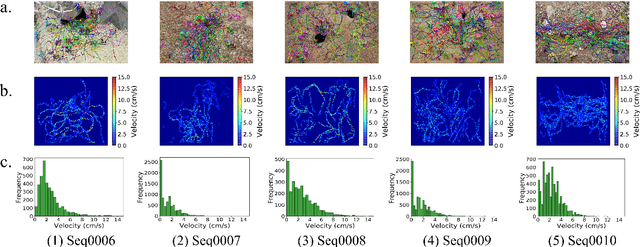 Figure 4 for A dataset of ant colonies motion trajectories in indoor and outdoor scenes for social cluster behavior study