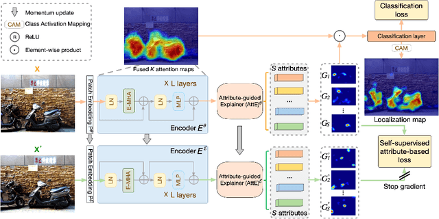 Figure 1 for eX-ViT: A Novel eXplainable Vision Transformer for Weakly Supervised Semantic Segmentation
