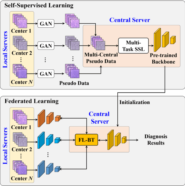Figure 1 for Pseudo-Data based Self-Supervised Federated Learning for Classification of Histopathological Images