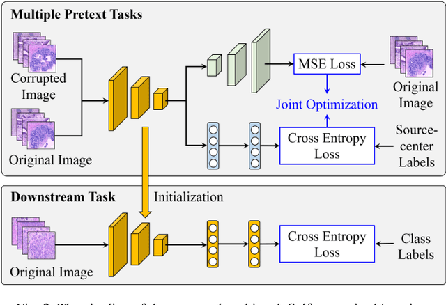 Figure 2 for Pseudo-Data based Self-Supervised Federated Learning for Classification of Histopathological Images