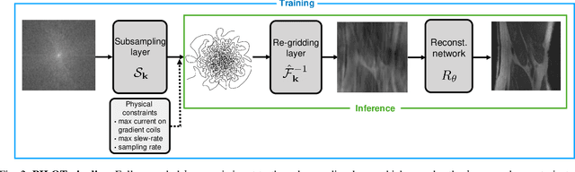 Figure 3 for PILOT: Physics-Informed Learned Optimal Trajectories for Accelerated MRI