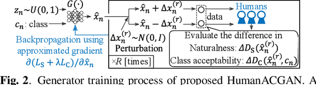 Figure 2 for HumanACGAN: conditional generative adversarial network with human-based auxiliary classifier and its evaluation in phoneme perception