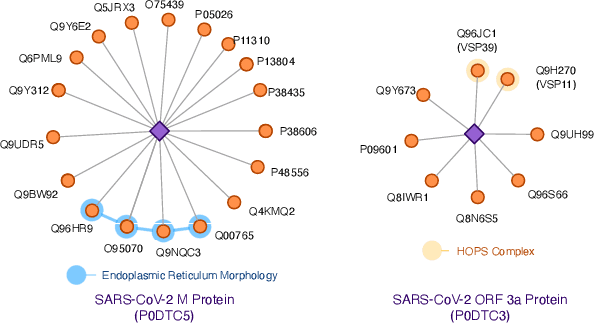 Figure 1 for Bio-JOIE: Joint Representation Learning of Biological Knowledge Bases