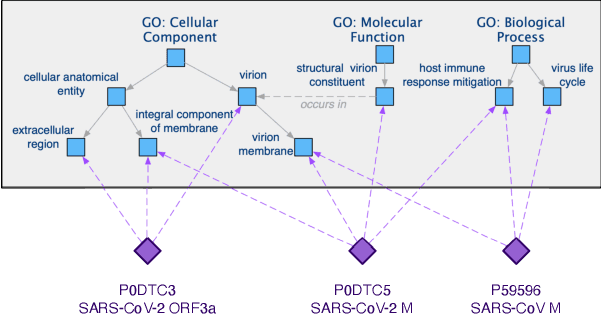 Figure 3 for Bio-JOIE: Joint Representation Learning of Biological Knowledge Bases
