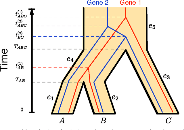 Figure 1 for Data Requirement for Phylogenetic Inference from Multiple Loci: A New Distance Method