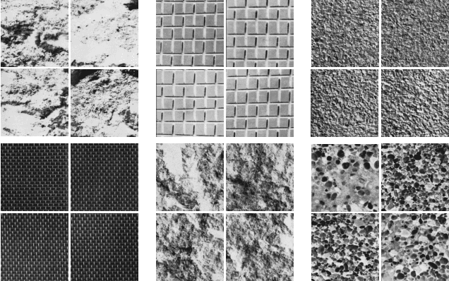 Figure 2 for Fast deterministic tourist walk for texture analysis