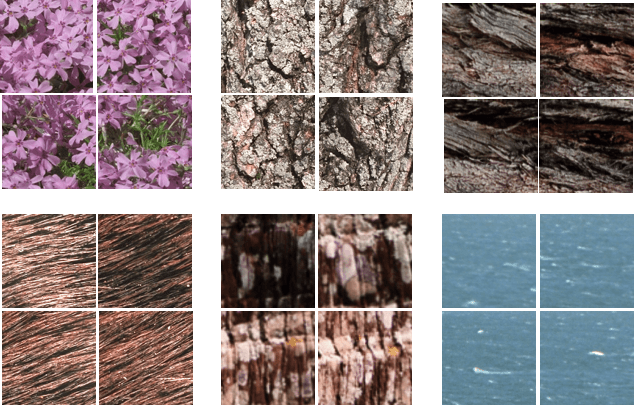 Figure 3 for Fast deterministic tourist walk for texture analysis