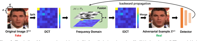 Figure 3 for Exploring Frequency Adversarial Attacks for Face Forgery Detection