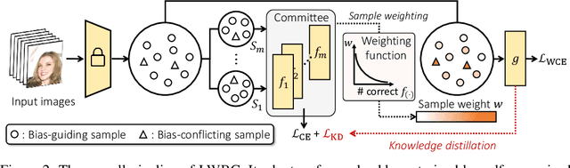 Figure 3 for Learning Debiased Classifier with Biased Committee