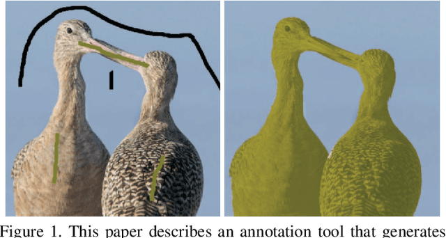 Figure 1 for FreeLabel: A Publicly Available Annotation Tool based on Freehand Traces