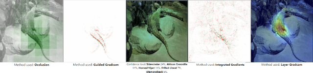 Figure 3 for Towards Benchmarking Explainable Artificial Intelligence Methods