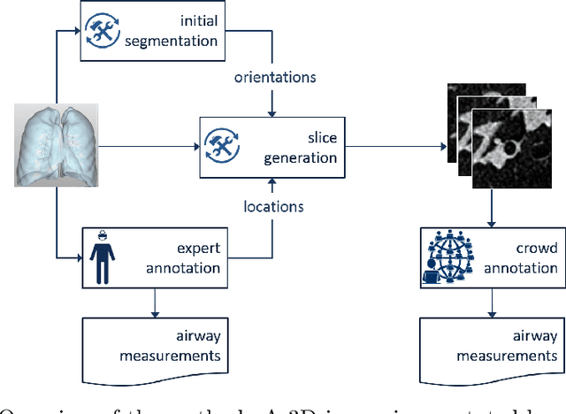 Figure 1 for Crowdsourcing Airway Annotations in Chest Computed Tomography Images