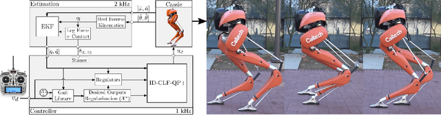 Figure 3 for Control Lyapunov Functions for Compliant Hybrid Zero Dynamic Walking