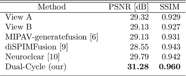 Figure 2 for Dual-Cycle: Self-Supervised Dual-View Fluorescence Microscopy Image Reconstruction using CycleGAN