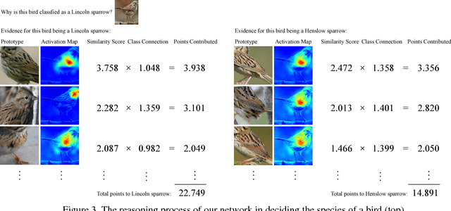 Figure 4 for This looks like that: deep learning for interpretable image recognition