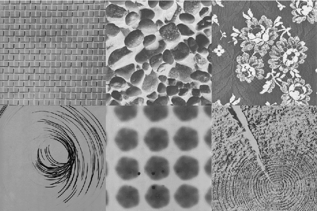 Figure 1 for Scale-Regularized Filter Learning
