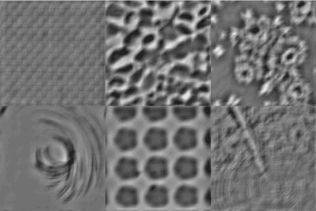 Figure 3 for Scale-Regularized Filter Learning